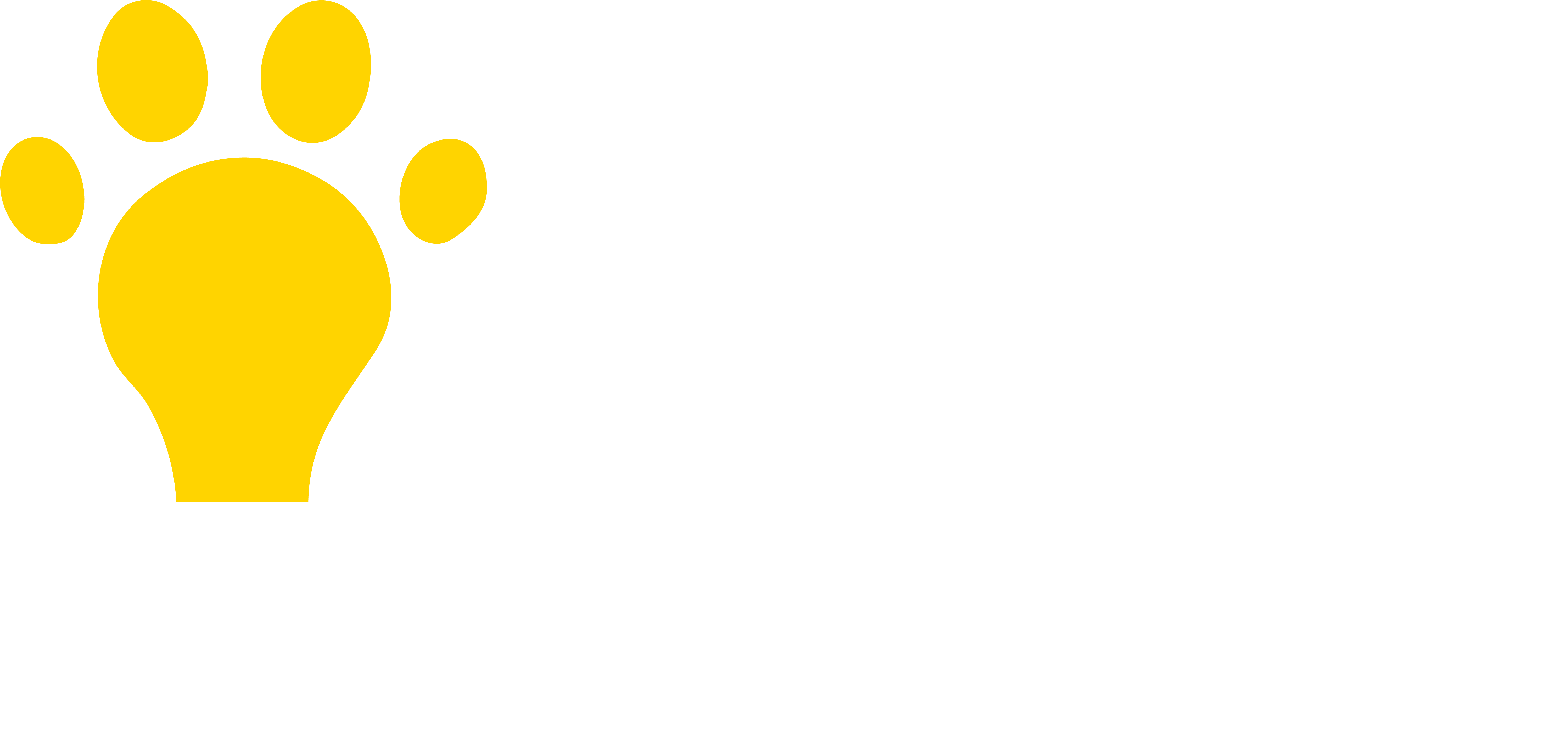 Preloader